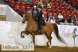 14buck_3371 proof