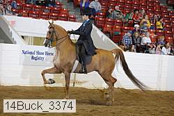 14buck_3374 proof