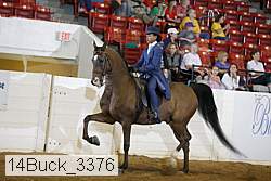 14buck_3376 proof