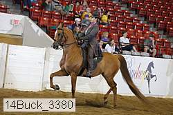 14buck_3380 proof
