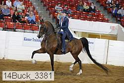 14buck_3381 proof