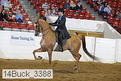 14buck_3388 proof