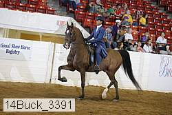 14buck_3391 proof