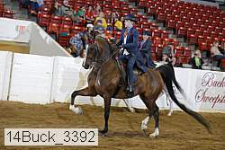14buck_3392 proof