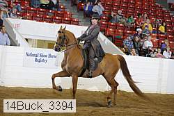 14buck_3394 proof