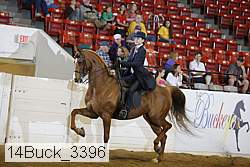 14buck_3396 proof
