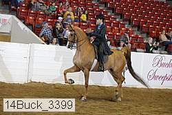 14buck_3399 proof