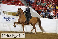14buck_3401 proof