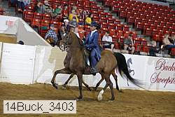 14buck_3403 proof