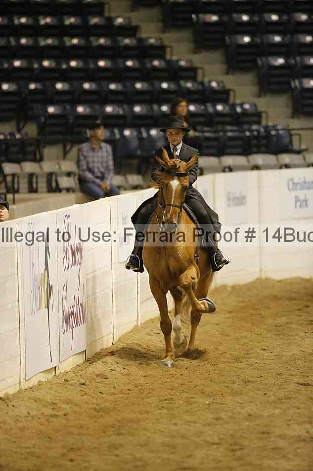 Proof 14buck_3404