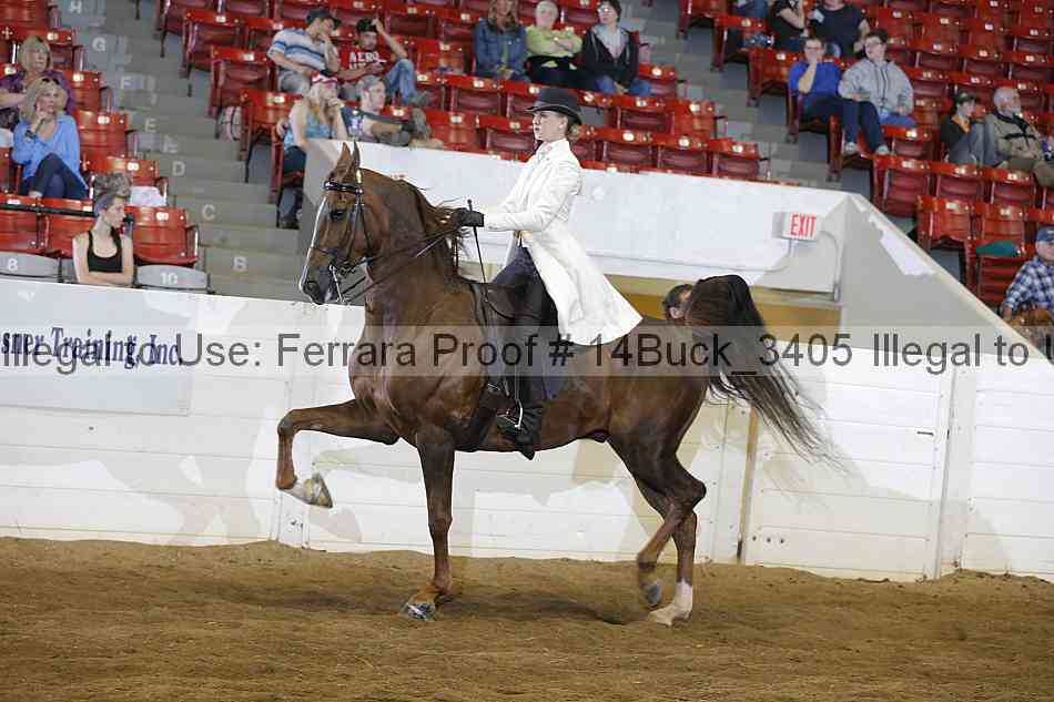 Proof 14buck_3405