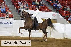 14buck_3405 proof