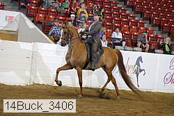 14buck_3406 proof