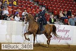 14buck_3408 proof