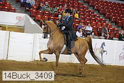 14buck_3409 proof