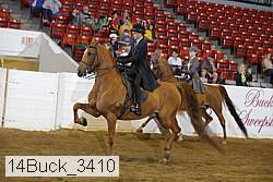 14buck_3410 proof