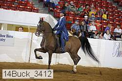14buck_3412 proof