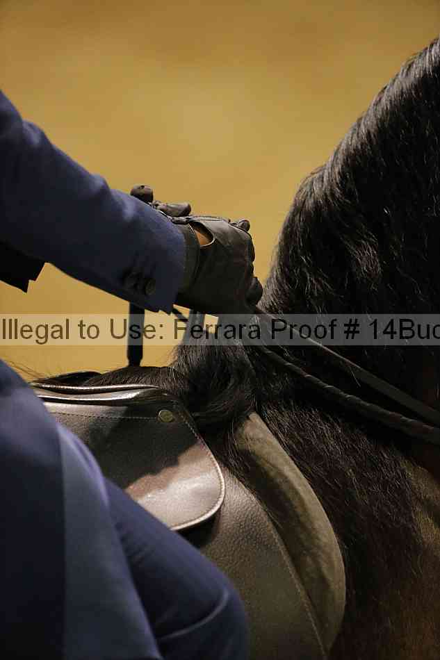 Proof 14buck_3416