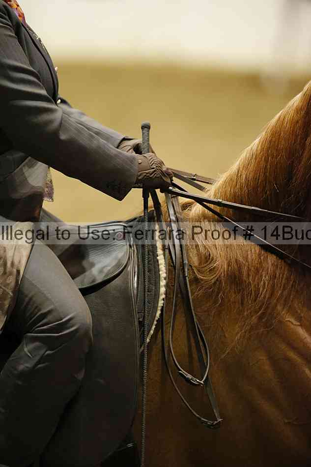 Proof 14buck_3417