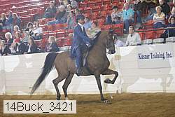 14buck_3421 proof