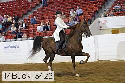 14buck_3422 proof