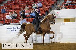 14buck_3424 proof
