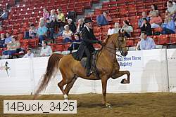 14buck_3425 proof
