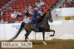14buck_3426 proof