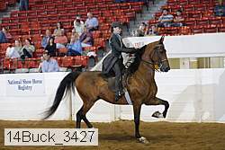 14buck_3427 proof