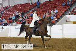14buck_3428 proof