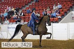 14buck_3429 proof