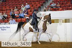 14buck_3430 proof