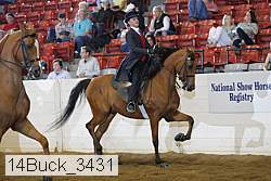 14buck_3431 proof