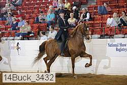 14buck_3432 proof