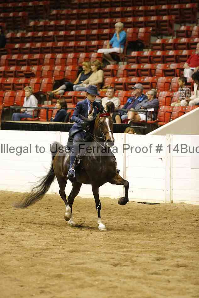 Proof 14buck_3433