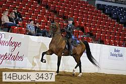 14buck_3437 proof