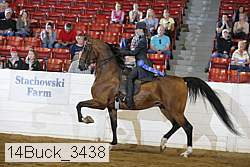 14buck_3438 proof