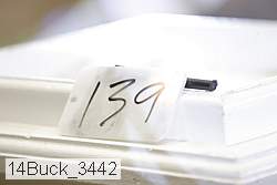 14buck_3442 proof