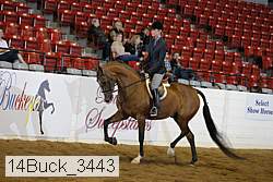 14buck_3443 proof