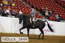 14buck_3444 proof
