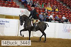 14buck_3448 proof