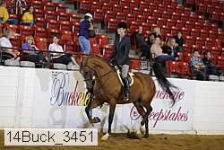 14buck_3451 proof