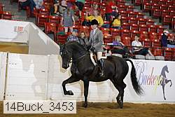 14buck_3453 proof