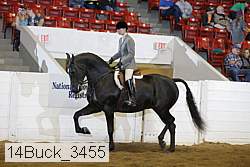 14buck_3455 proof