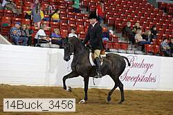 14buck_3456 proof