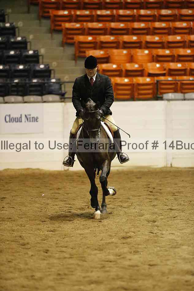 Proof 14buck_3457