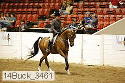 14buck_3461 proof