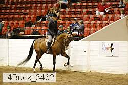 14buck_3462 proof