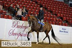 14buck_3463 proof