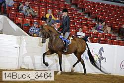 14buck_3464 proof